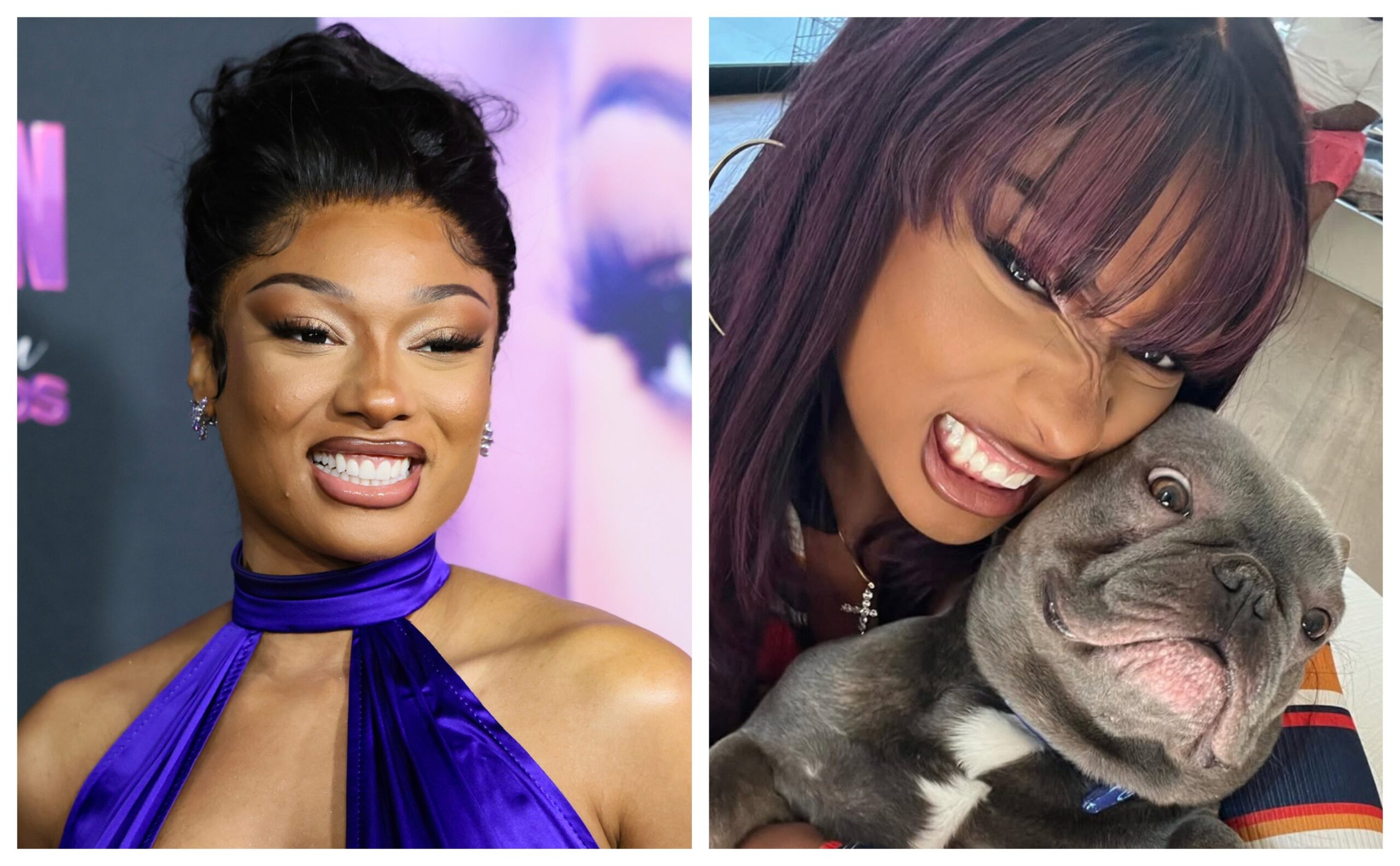 Ciara, Zendaya and Other Black Celebs With Adorable Dogs