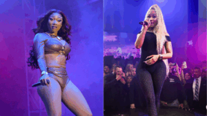 Megan Thee Stallion and Nicki Minaj Are Absolutely Beefing, And We Have Receipts