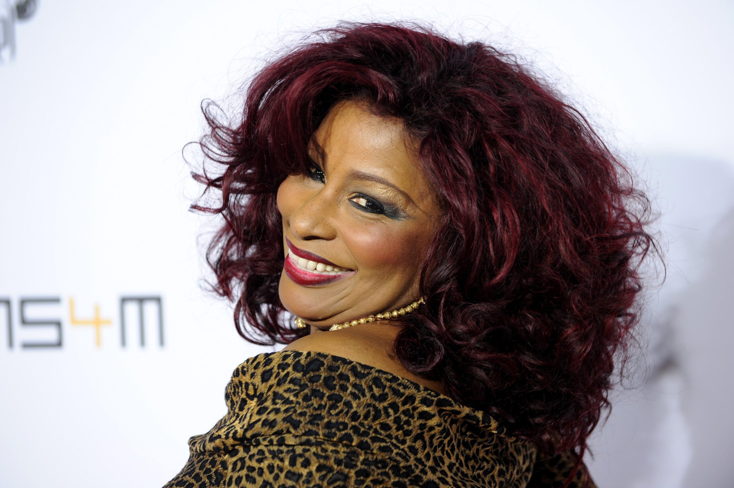 HOLLYWOOD, CA - JANUARY 23: Recording artist Chaka Khan attends the will.i.am hosted third annual TRANS4M concert benefitting the i.am.angel Foundation at Avalon on January 23, 2014 in Hollywood, California. Photo: Getty Images Allen Berezovsky