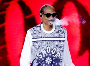 We’ve Got Ideas On How Snoop Dogg’s Linkedin Page Can be Spiced Up