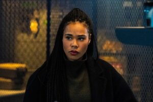 FBI Franchise Goes Global With 2nd Crossover Event