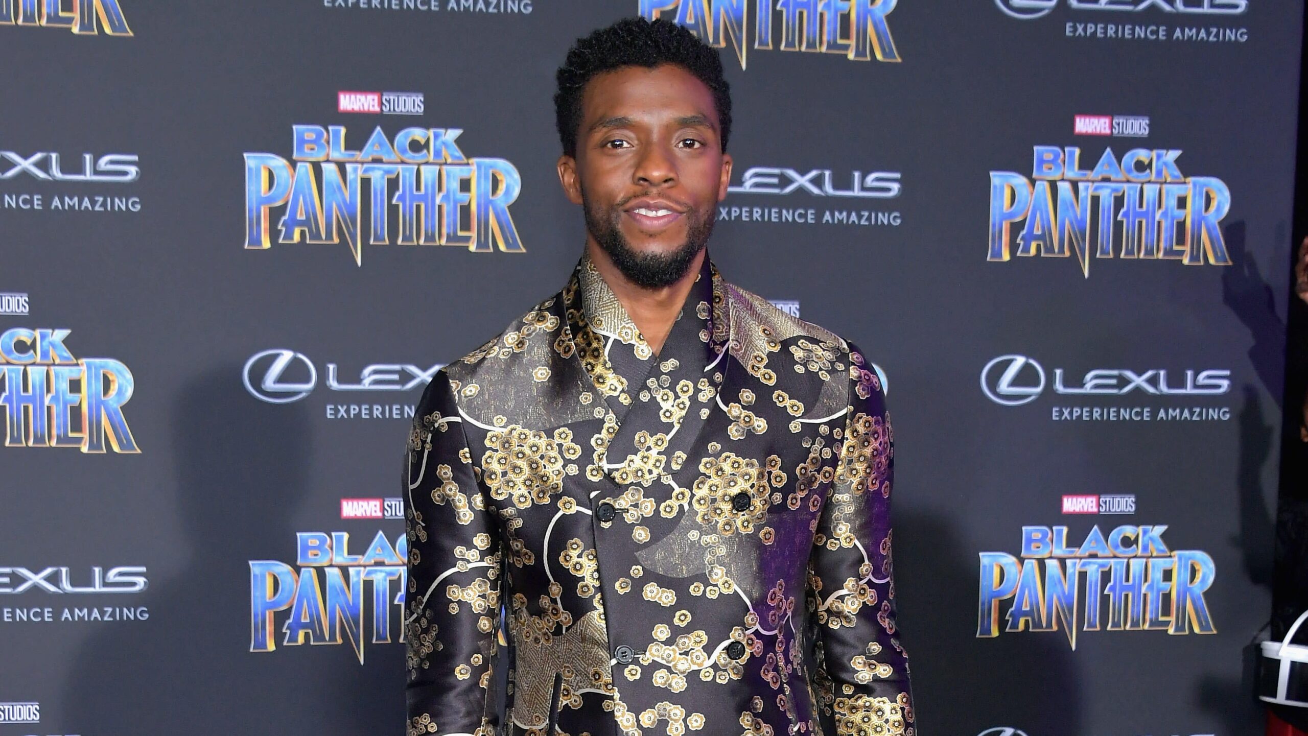 Chadwick Boseman attends the premiere of Disney and Marvel’s “Black Panther” at Dolby Theatre on January 29, 2018 in Hollywood, California. Photo: Getty Images Neilson Barnard