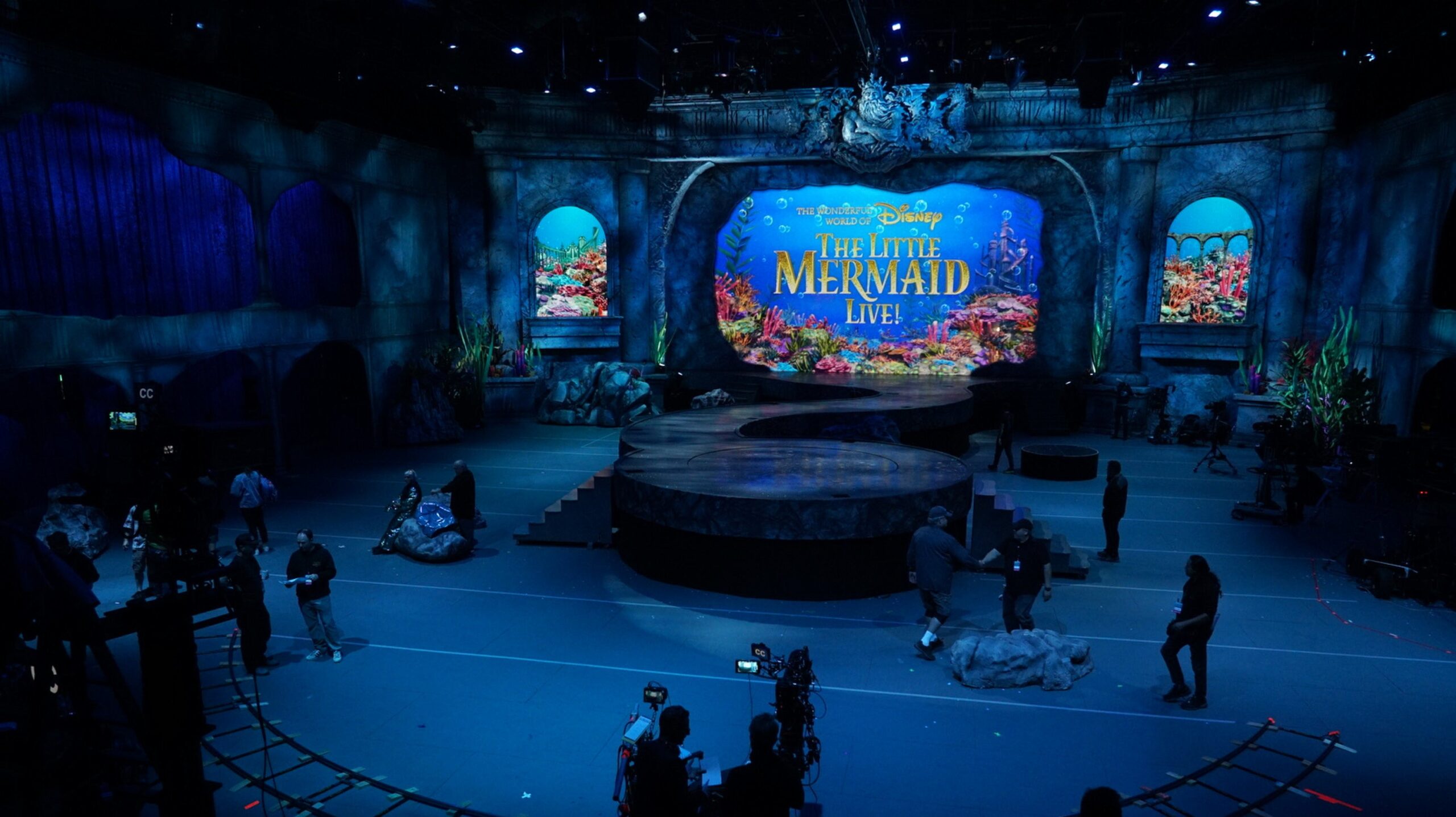 The Wonderful World of Disney Presents The Little Mermaid Live! Photo: Courtesy of ABC